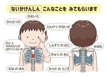 【掲示物Ｂ４版】【ひらがな】内科検診の内容説明（カラー）