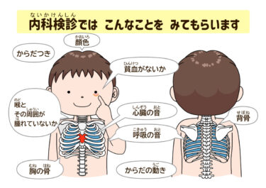 【掲示物Ｂ４版】【漢字＆ふりがな】内科検診の内容説明（カラー）